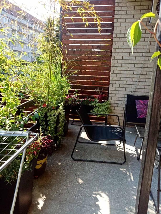 Dusica Apartmani Jagodina Esterno foto
