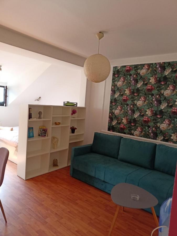 Dusica Apartmani Jagodina Esterno foto