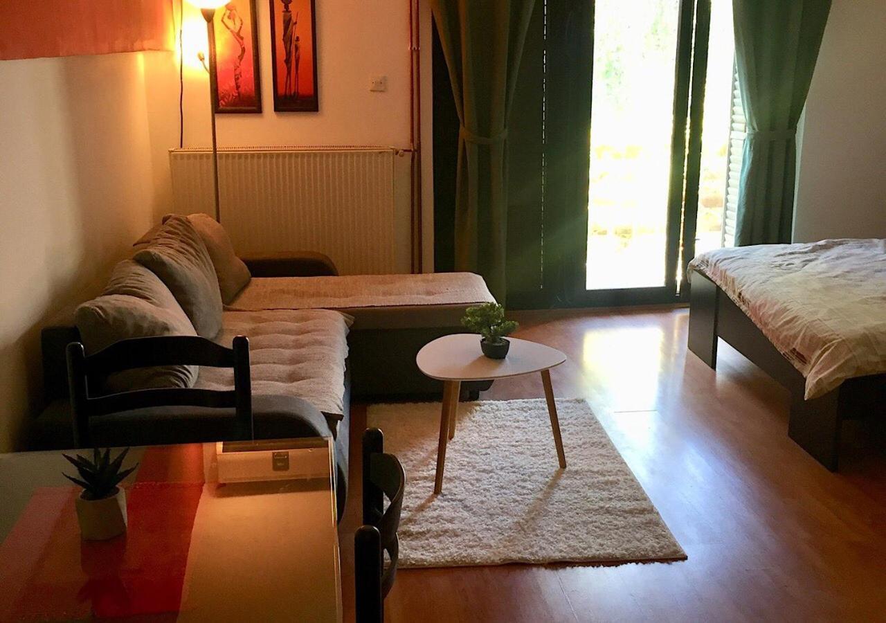 Dusica Apartmani Jagodina Esterno foto